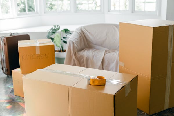 Collection & Delivery